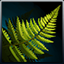 Icon Item Dill.png