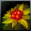 Icon Item Cranberry.png