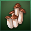 Icon Item Mushroom.png