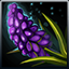 Icon Item Vervain.png