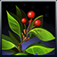 Icon Item Rosehip.png