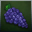 Dosya:Icon Item Grape.png
