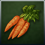Dosya:Icon Item Carrot.png