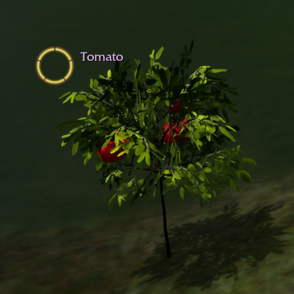 Dosya:Screenshot Tomato.jpg