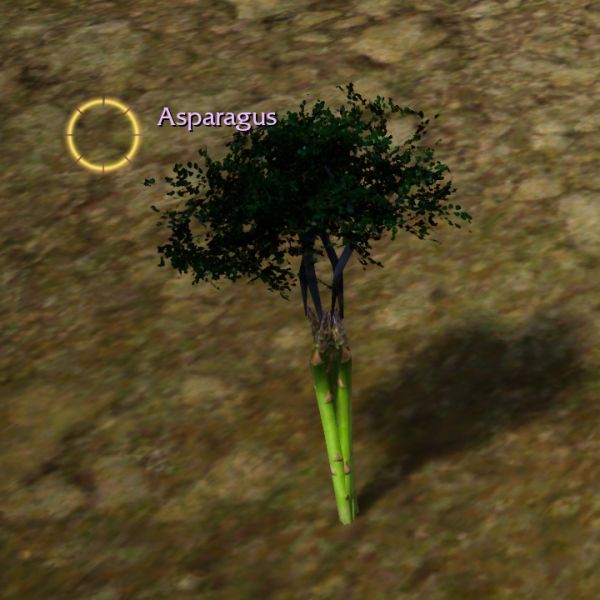 Dosya:Screenshot Asparagus.jpg